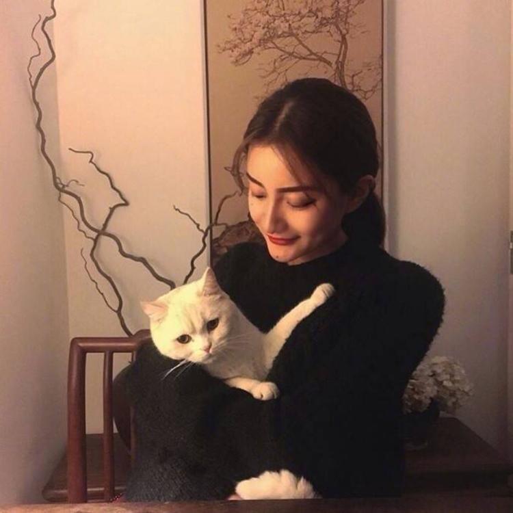 上田茂 - 动画电影国语在线观看 - 网络观影